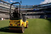 WM-Finale: Naturrasen aus Bermudagras im MetLife Stadion