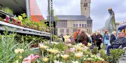 Wochenende in Dessau-Roßlau: Märkte, Schwanensee und achtsames Morden