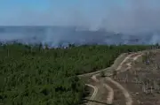 Woidke lobt Feuerwehr-Einsatz bei Waldbrand bei Jüterbog