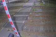 Wolf läuft über Bahnhofsgelände in Bremervörde