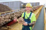 Zuckersteuer: Cola wird teurer – was bringt das für Sachsen-Anhalt?