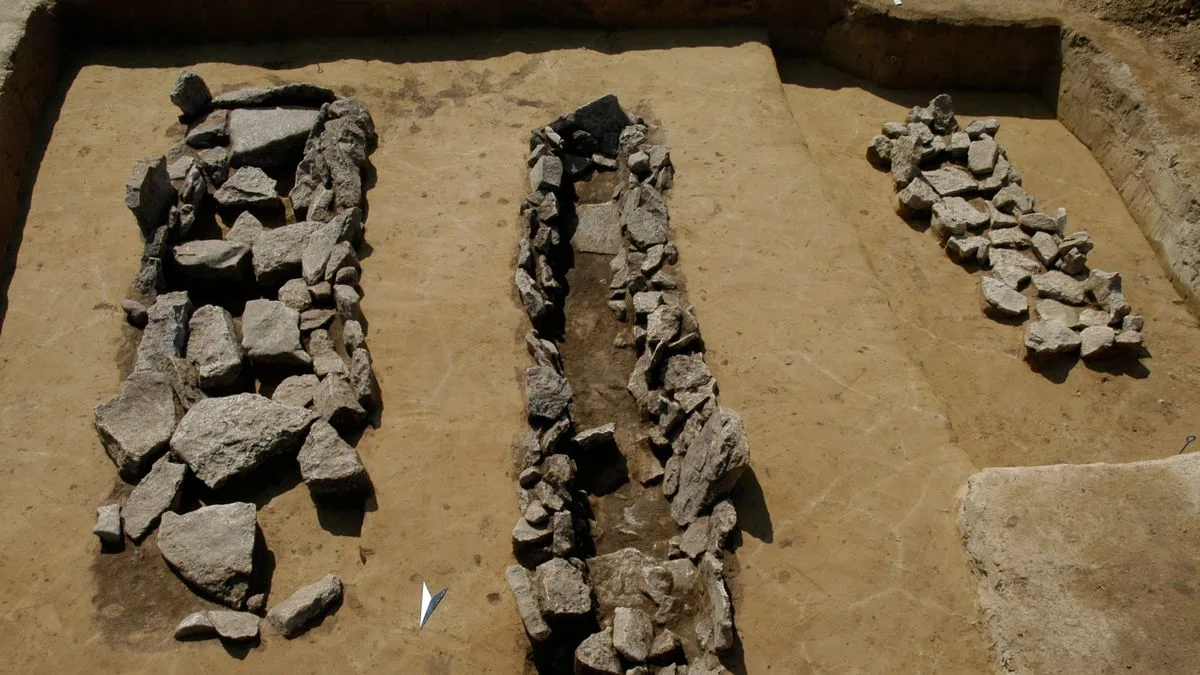 Bronzezeitliche Knochen aus Sachsen-Anhalt untersucht