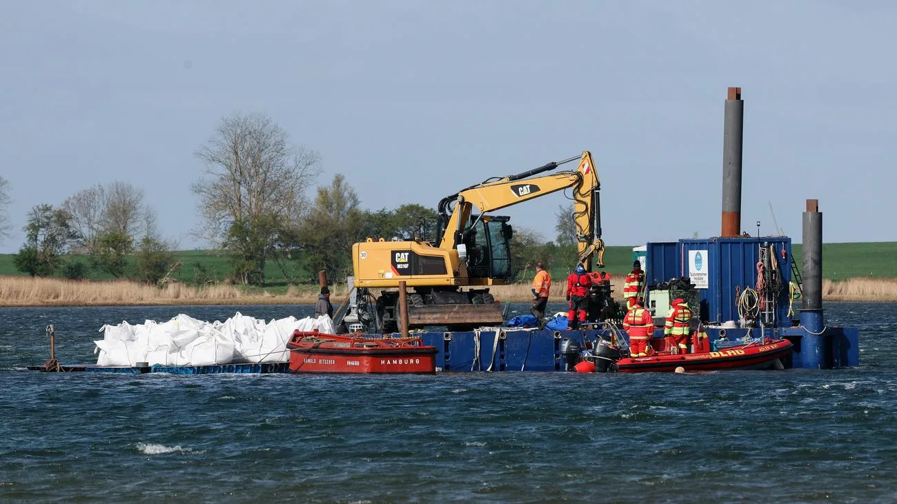 Buckelwal in der Ostsee: Rettung mit Lastkahn genehmigt