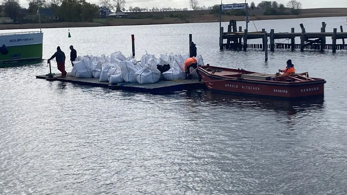 Buckelwal vor Wismar: 110 Meter lange Rinne fast fertig – Sandsäcke sollen Wal schützen