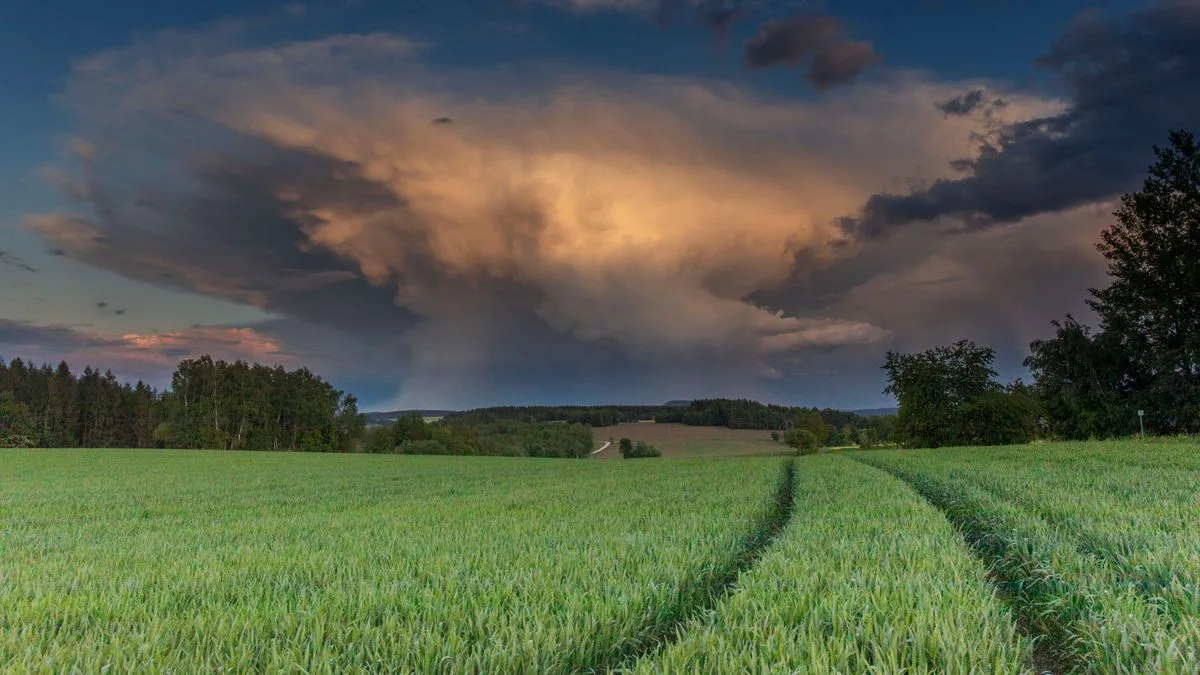 DWD warnt vor Gewittern und Starkregen in Sachsen-Anhalt und Ostdeutschland