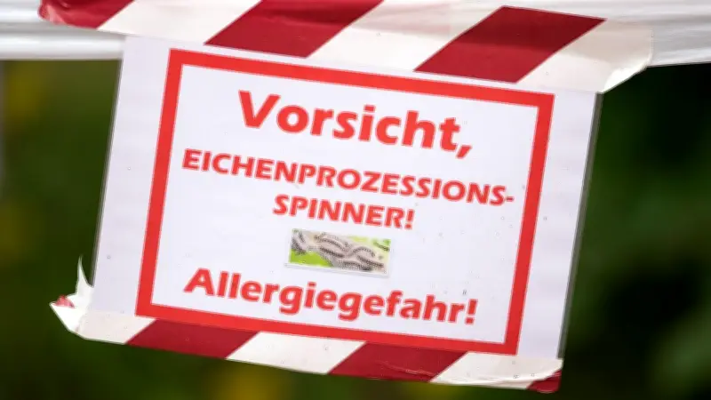 Eichenprozessionsspinner: Berlin sperrt mehrere Sportplätze in Mitte