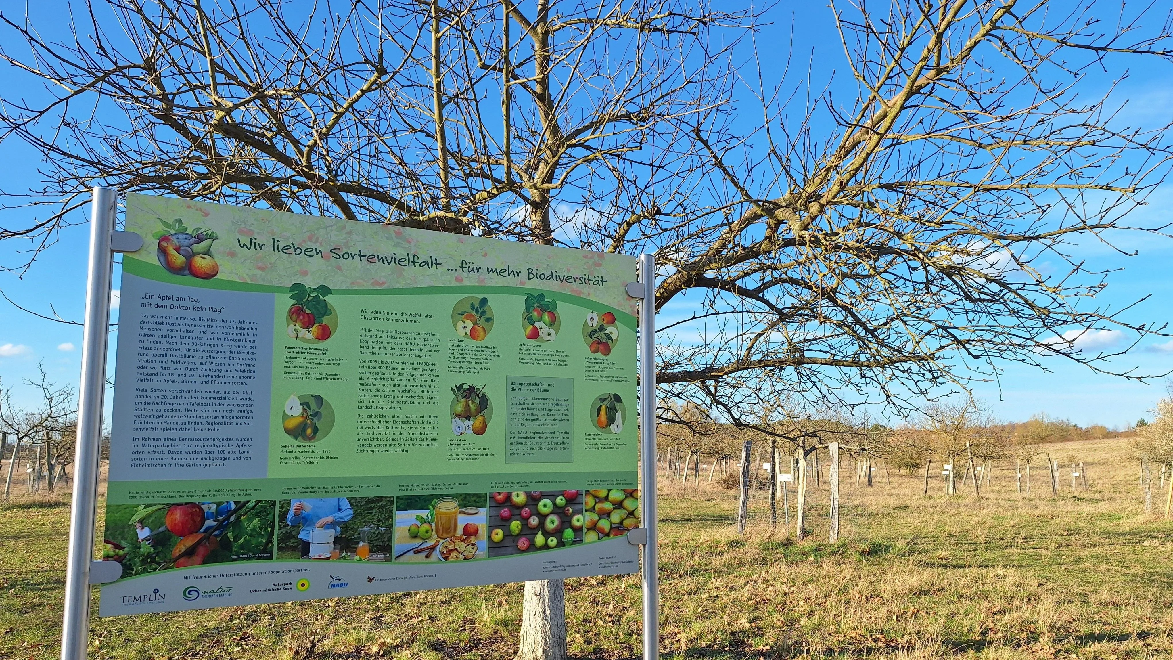Neue Infotafeln für Apfelsorten im Templiner Schaugarten
