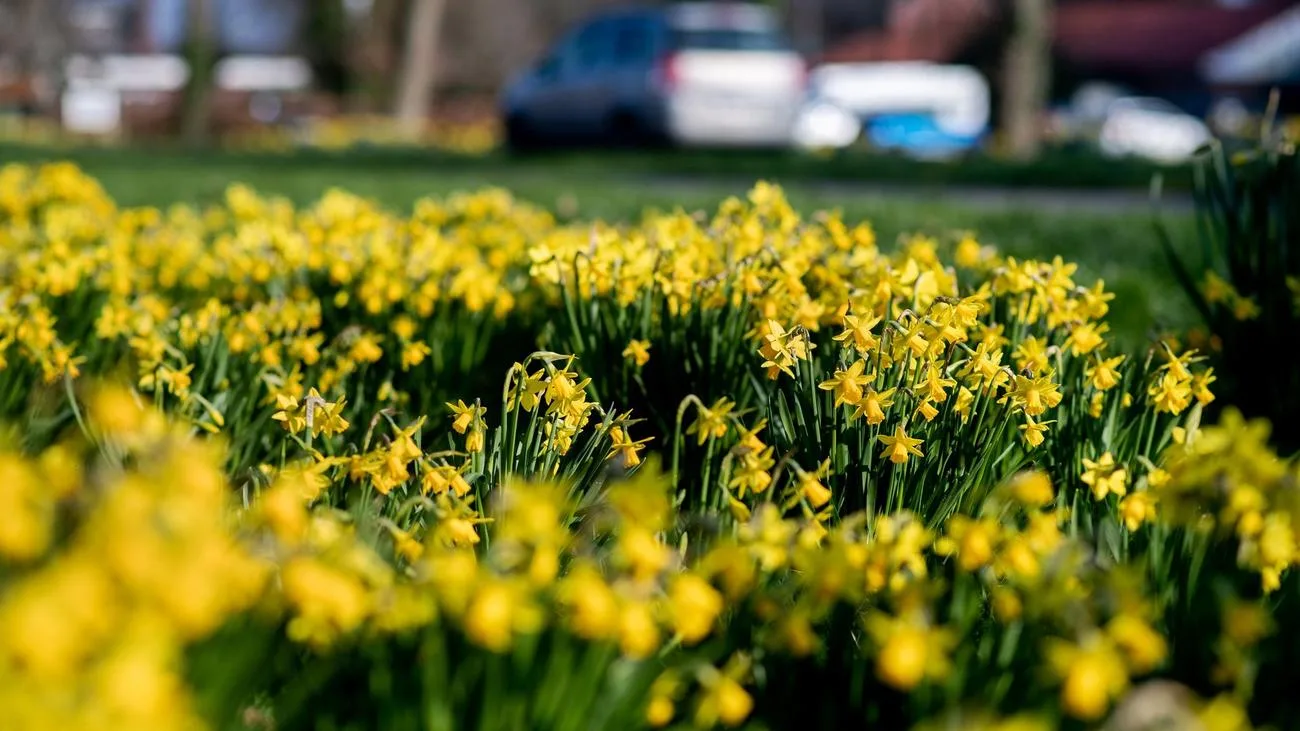 Trockenes Wochenende mit Sonne in Niedersachsen