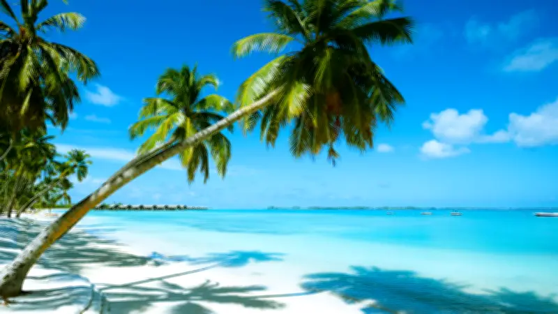 Perfekter Urlaub: Checklisten, Reiseziele & Tipps für stressfreie Planung