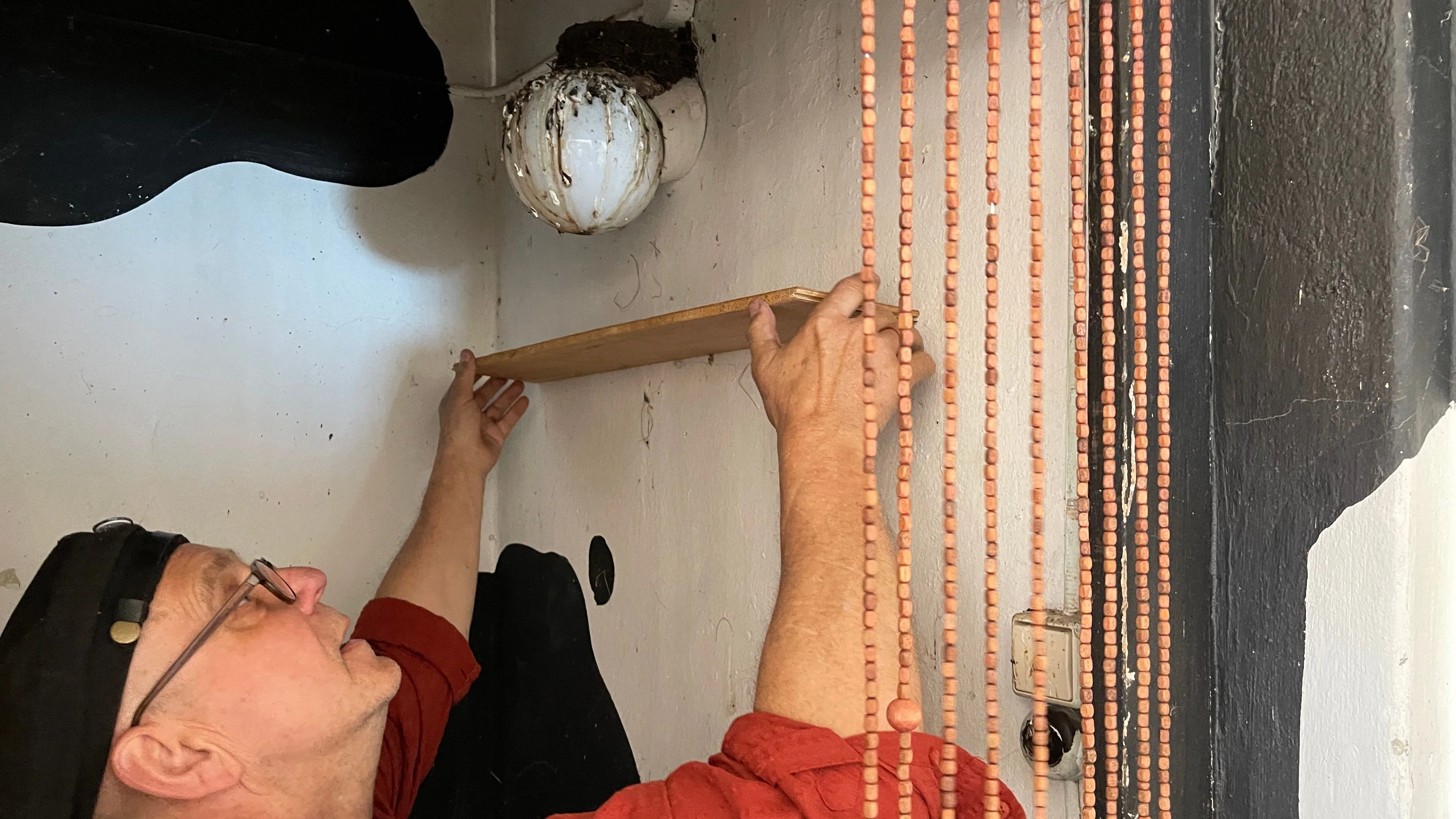 Schwalbennest vor Künstler-Atelier bereitet Sorgen
