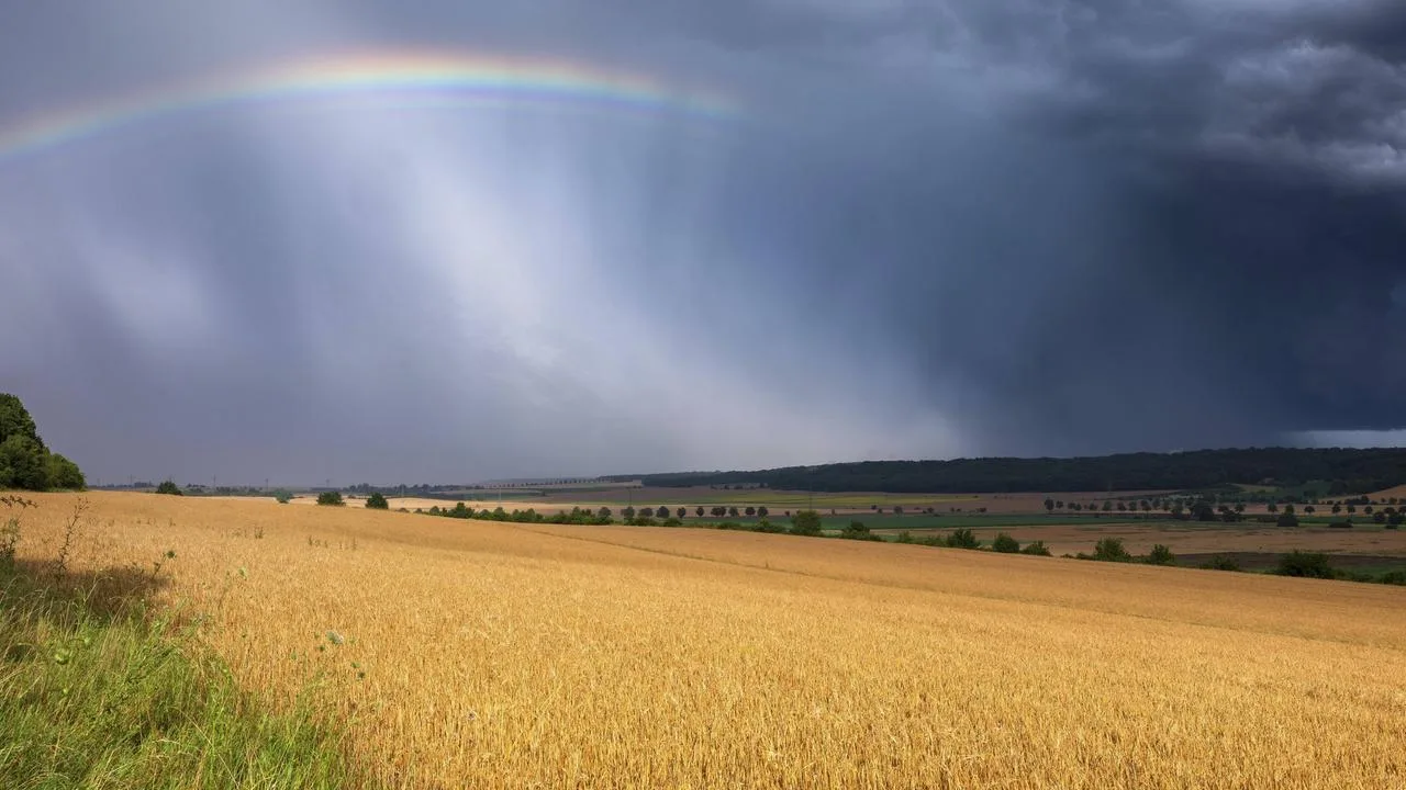 Wetter in Sachsen-Anhalt: Nach warmen Tagen folgen Regen und Gewitter