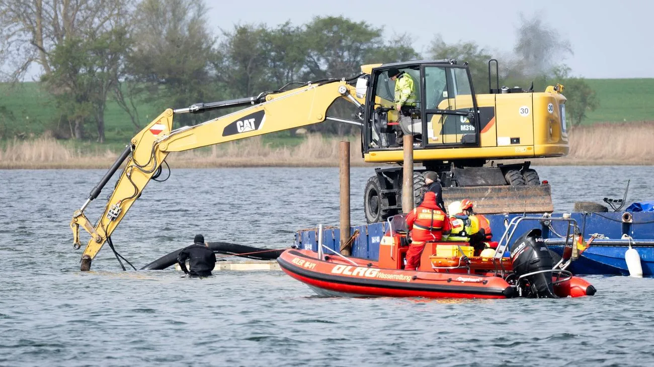 Steigender Wasserstand am gestrandeten Buckelwal auf Poel erwartet