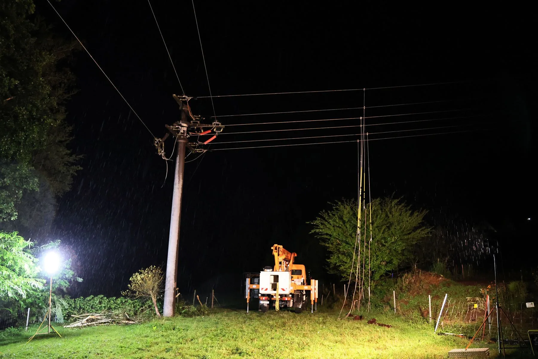 Stromausfall in Unterfranken: Umgestürzter Baum legt 2.000 Haushalte lahm