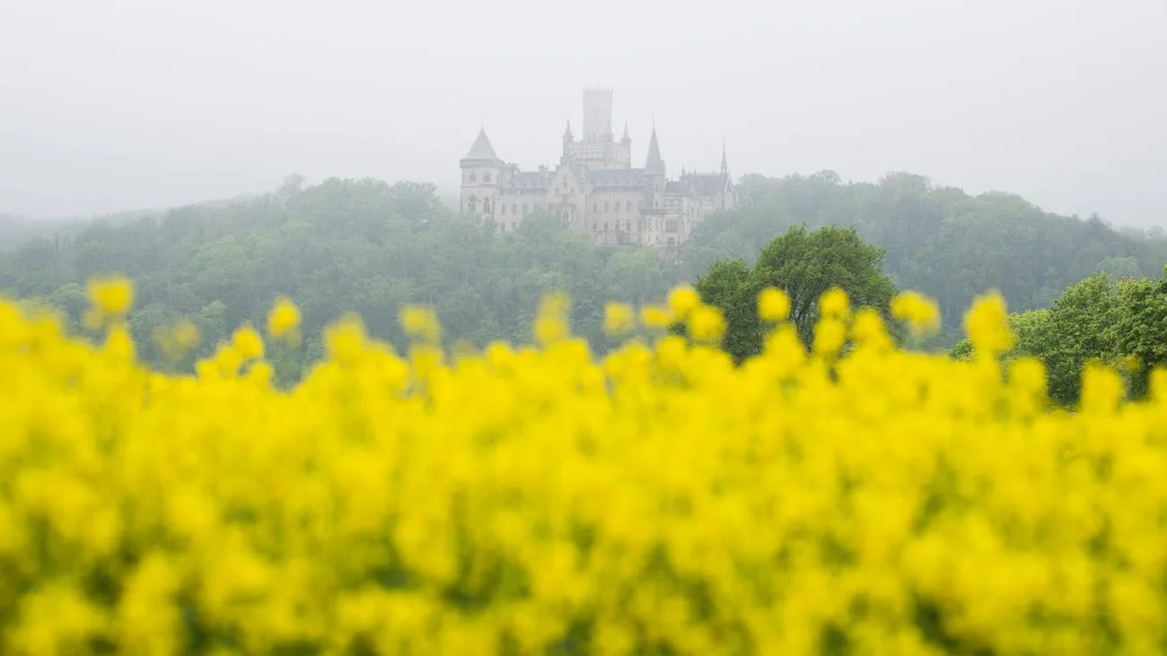 Teils sonniges Wochenende in Niedersachsen erwartet
