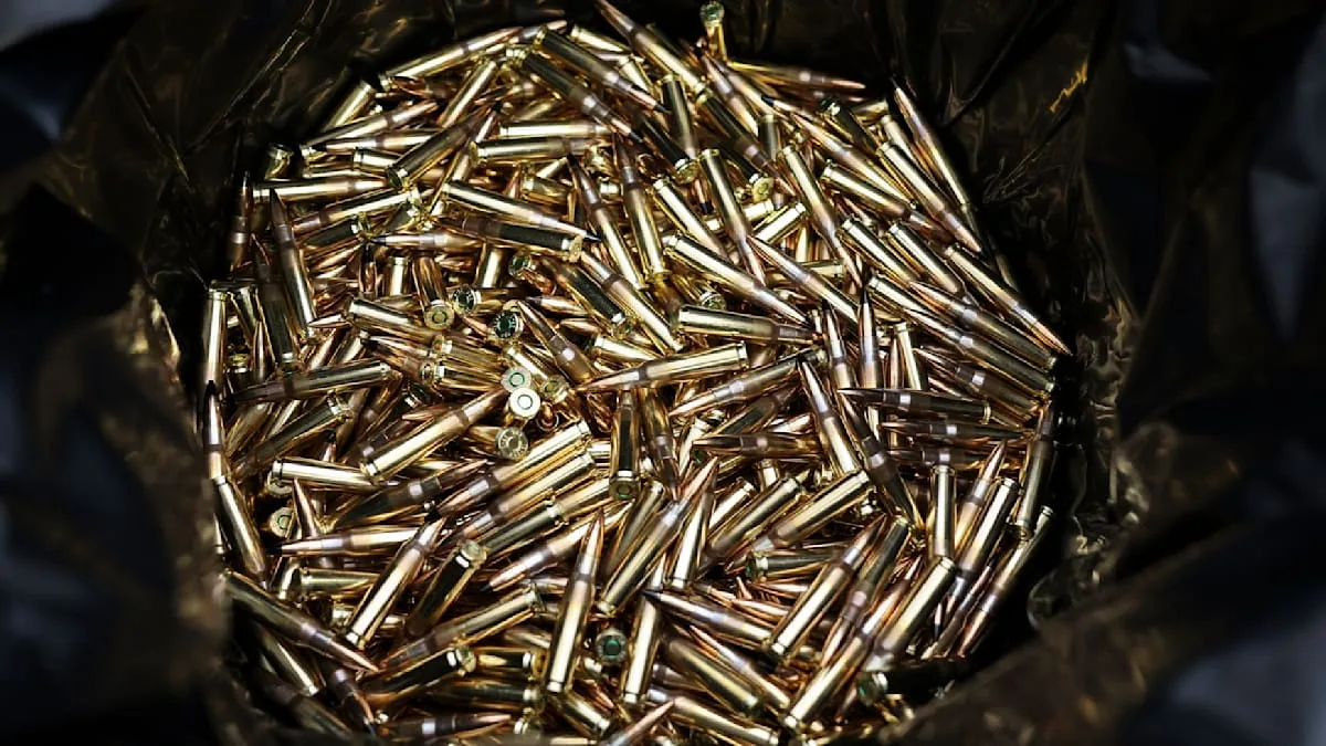 Altmunition aus der Ostsee: Mammutprojekt zur Entsorgung gestartet