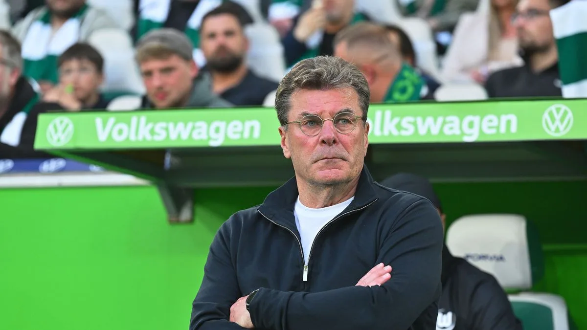 VfL Wolfsburg: Wirtschaftliche Folgen eines möglichen Abstiegs