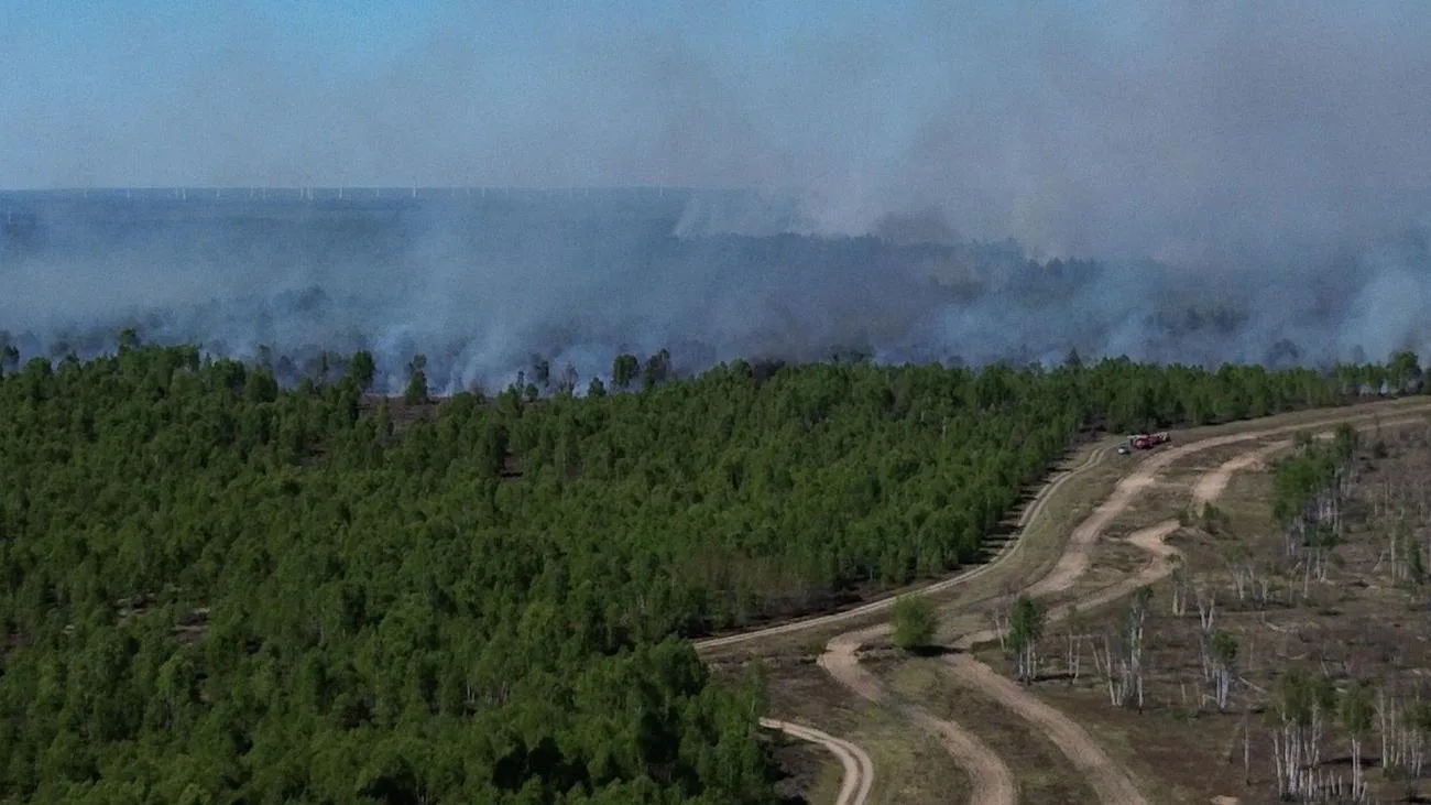 Waldbrand bei Jüterbog wächst auf 37 Hektar