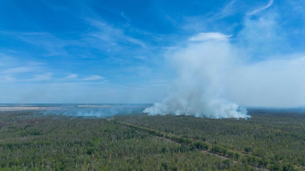 Waldbrand Gohrischheide: Hitze entzündete Altmunition – Ermittlungen abgeschlossen
