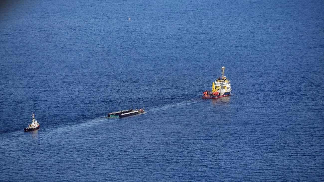 Warnung vor Wal-Freilassung in der Nordsee