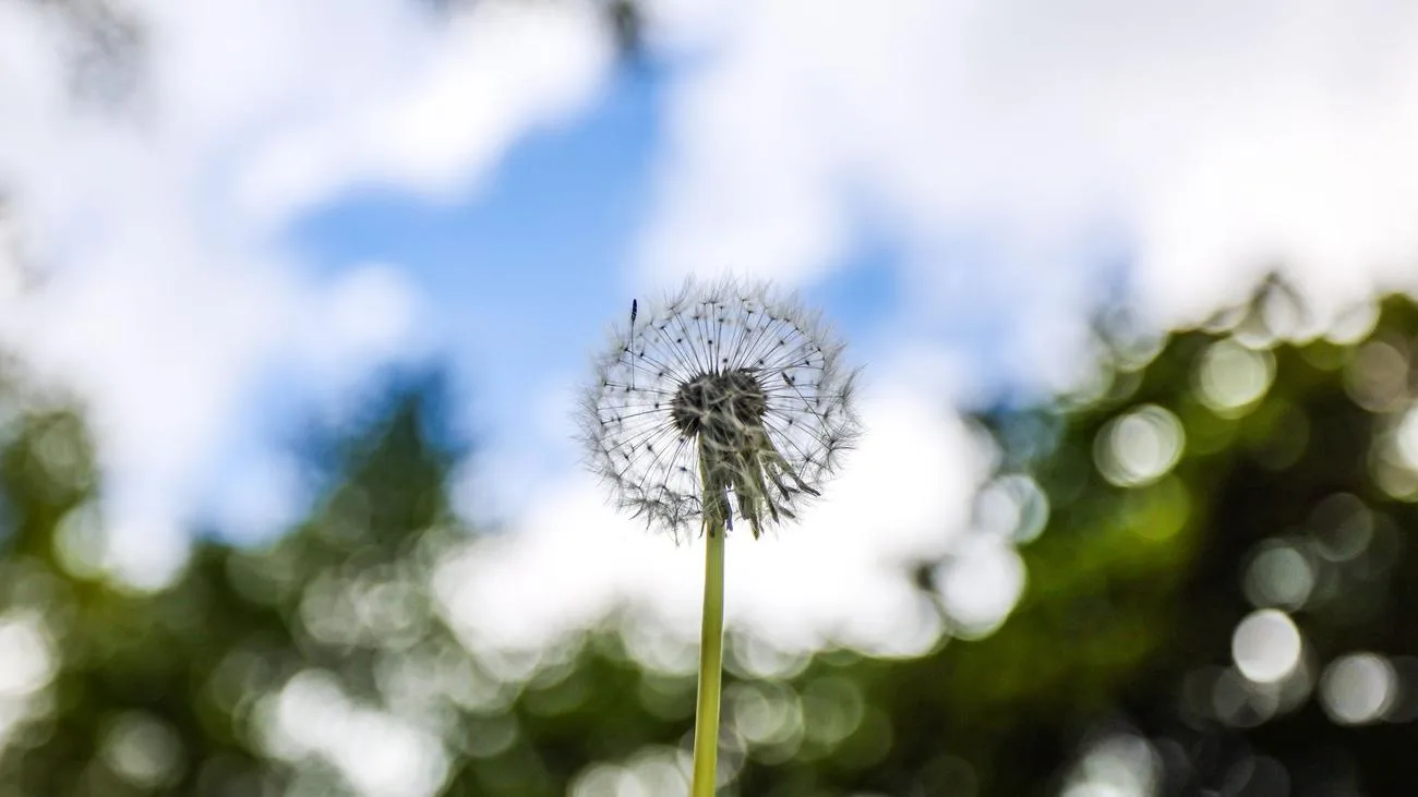 Wechselhaftes Osterwetter: Sonne, Regen und Wind in NRW