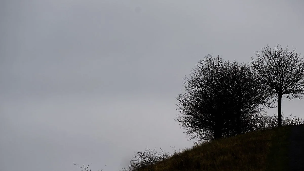 Grau und nass: So wird das Wetter in Niedersachsen und Bremen