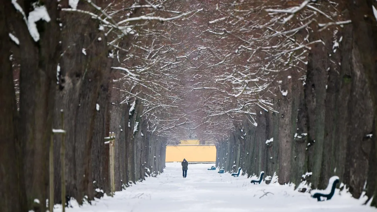 Winterchaos in Niedersachsen und Bremen: Glätte, Unfälle und Unterrichtsausfälle