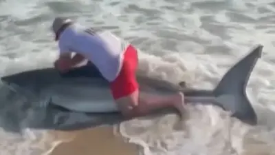 Angler kämpft mit Weißem Hai vor Nantucket