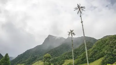 Beinahe-Festnahme in Kolumbien: Autorin berichtet von Albtraum-Wanderung