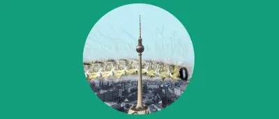 Berlins Kampf gegen Eichenprozessionsspinner wird zur Systemfrage