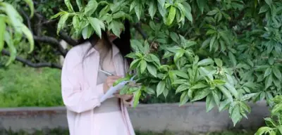 Comedy in China: Trotz Zensur lachen Frauen lauter