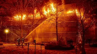 Einsatzrekord 2025: Berlins Feuerwehr mit über 558.000 Einsätzen