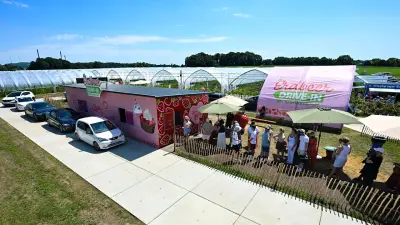 Erdbeer-Drive-in in Bottrop: Massenansturm auf neue Snack-Idee