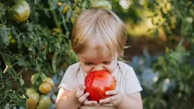 Ernährung in Kindheit prägt Gehirn: Analyse von 73 Studien zeigt klare Zusammenhänge