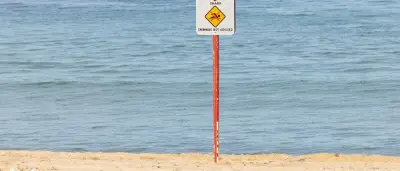 Hai-Angriff in Sydney: Zwischen Angst und Artenschutz