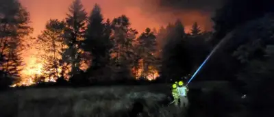 Hitzewelle in Deutschland: 41,7 Grad Rekord, Waldbrand auf A8, zwölf Badetote