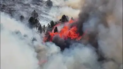 Hitzewelle in Europa: Großbrände und extreme Temperaturen