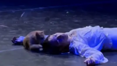 Katze unterbricht Romeo und Julia Ballett in der Türkei