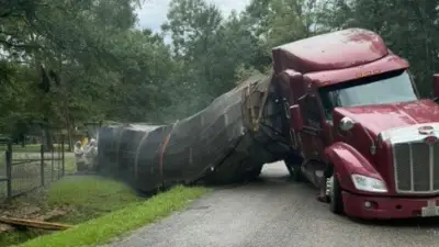 Millionen Bienen in Texas freigesetzt: Lkw mit 400 Bienenstöcken umgekippt