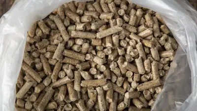 Pelletspreise am 30. Juni 2026: Tonne kostet 357,87 Euro – aktueller Überblick