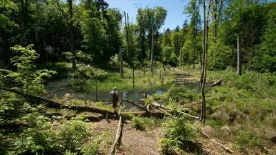 Sagenhaft schön: Wanderung im Nonnenfließ bei Eberswalde