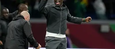 Senegal-Coach: Afrikas WM-Erfolge sind keine Überraschung