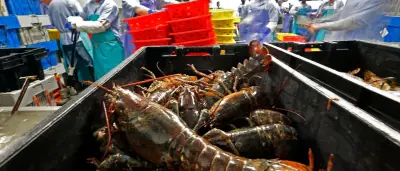 US-Hummer und Industriegüter ab Mittwoch zollfrei in der EU