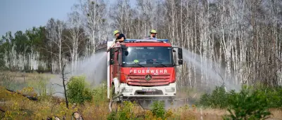 Waldbrand in Gohrischheide gelöscht: Regen und Hubschrauber halfen