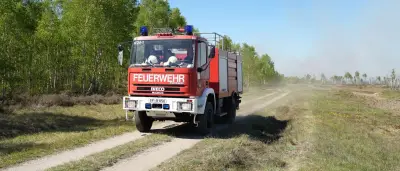 Waldbrandgefahr in Brandenburg sinkt vorerst nach Regenfällen