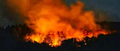 Waldbrände in Deutschland: Explosionen in Rheinland-Pfalz und Großeinsätze in mehreren Bundesländern