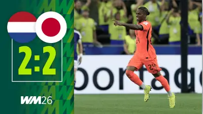 WM 2026: Niederlande besiegt Japan - Robben-Doppelgänger begeistert