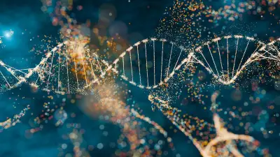 Y-Chromosom-Verlust: Krebs und Herzleiden als Folge bei Männern