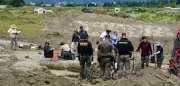 117 tote Hunde in kalifornischem Tierheim entdeckt – Ermittlungen laufen