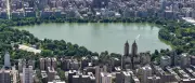 18-Jähriger stirbt nach Sturz aus Pferdekutsche im Central Park