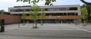 280 neue Bäume für Potsdams Schulen und Kitas geplant